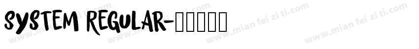 System Regular字体转换
